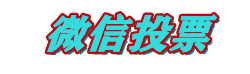 人工投票团队